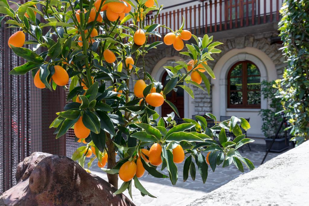 Villa Mariarosa Apartments Tignale Exterior photo